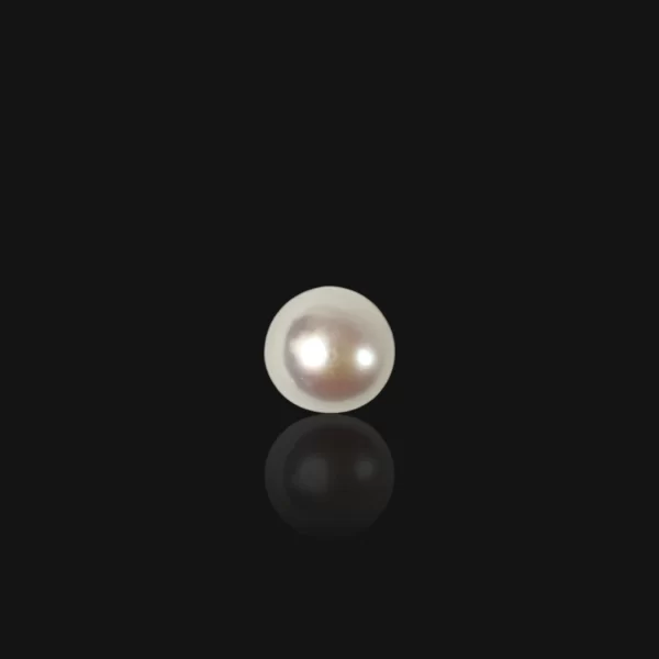 PhotoRoom-20250112_204127