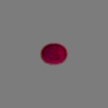 Buy Natural Ruby from Gemstones Wala