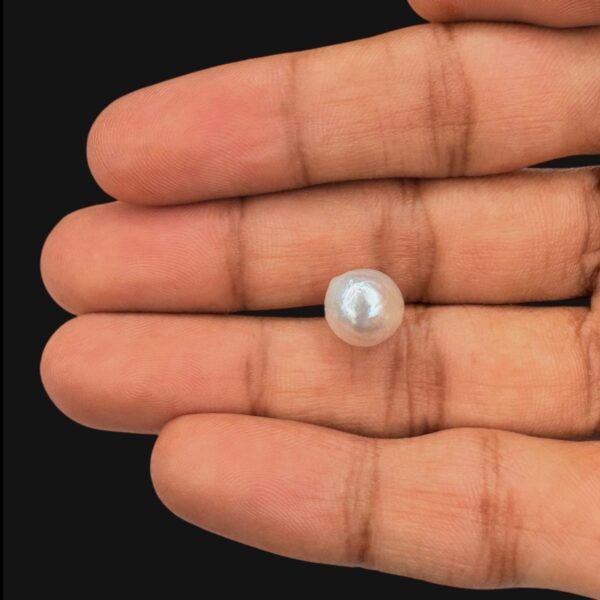 South Sea Pearl